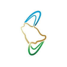 المشتري الرئيس